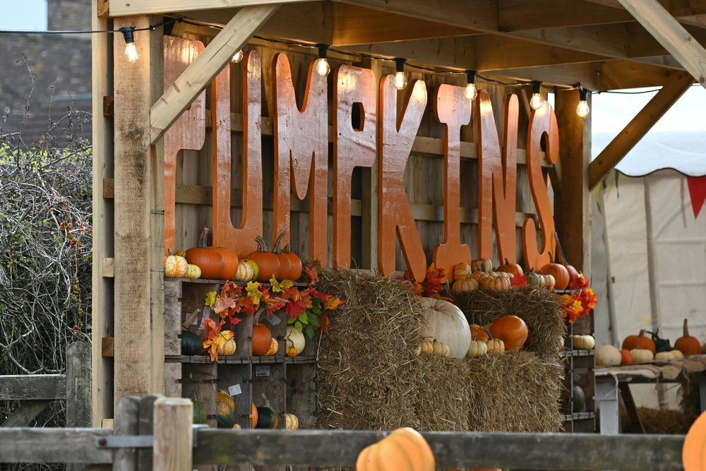 Southern Hill Farms Fall Festival | Photo Credits: Wayne Jackson on Pexels