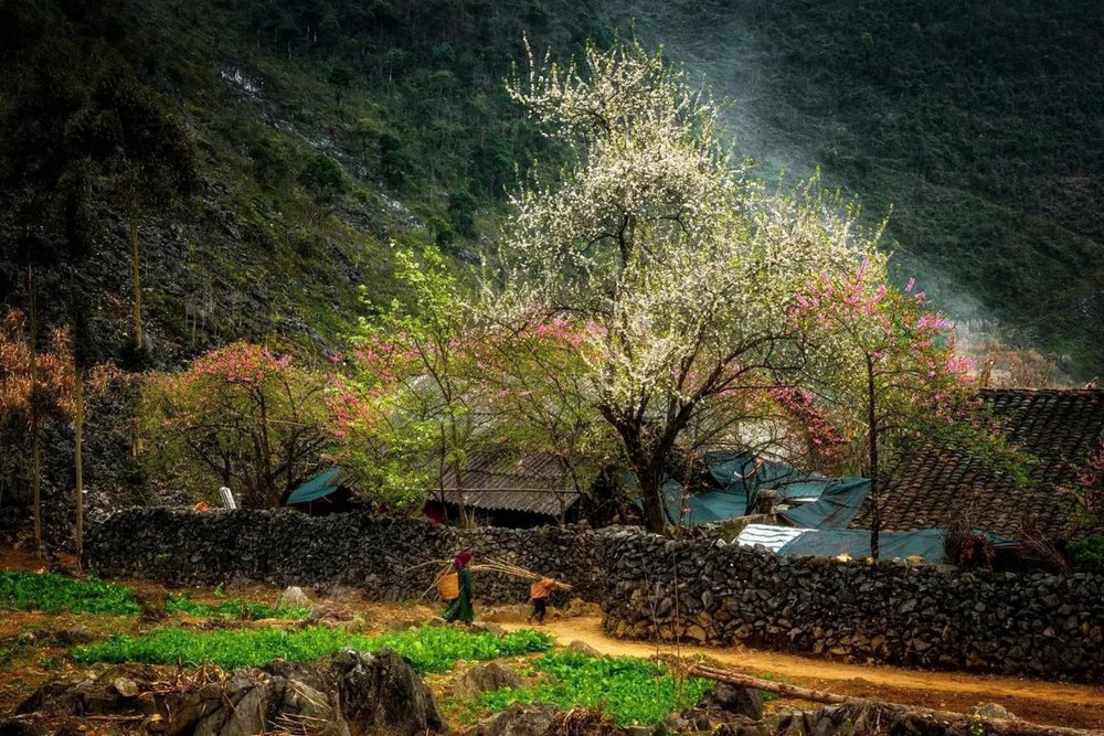 Hà Giang - Vẻ Đẹp Hùng Vĩ Của Cao Nguyên Đá