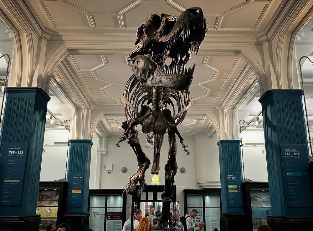 Manchester Museum