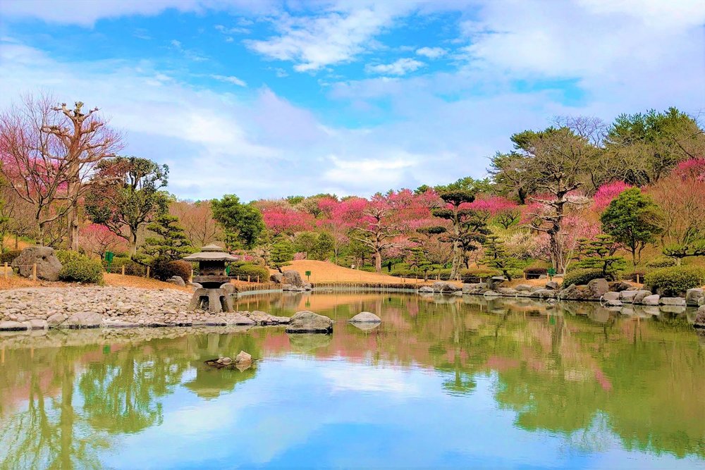 鹿兒島景點, 鹿兒島縣立吉野公園