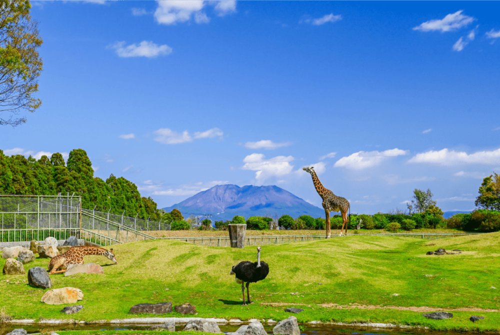 鹿兒島景點, 平川動物公園