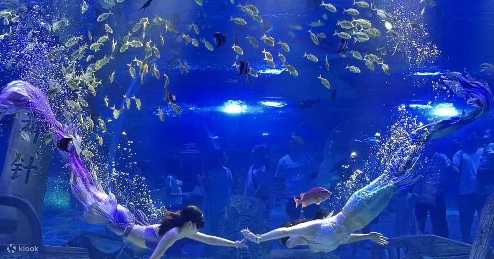 深圳恆遠海立方環遊城,深圳水族館