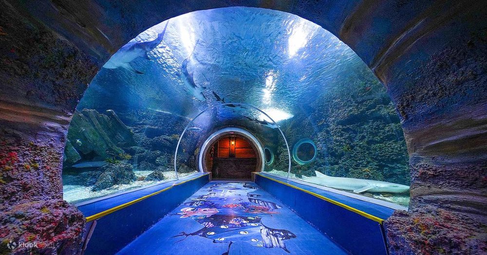 深圳觀瀾海洋世界,深圳水族館