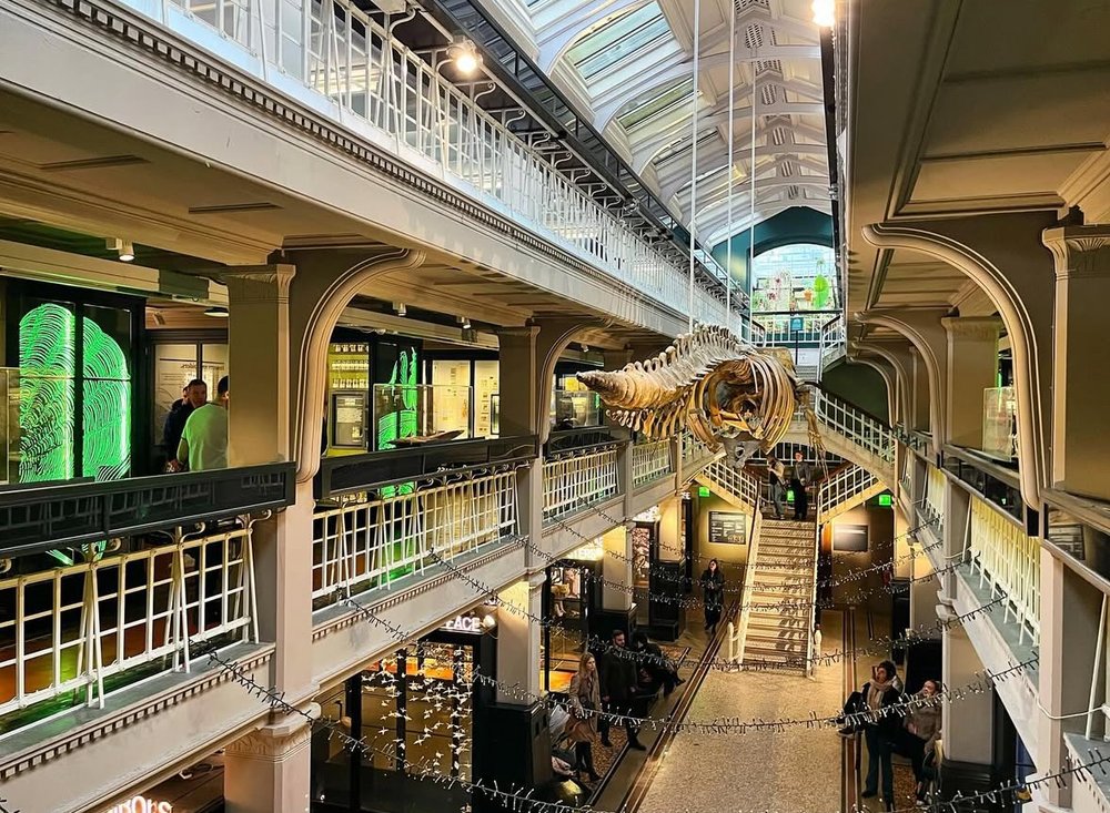 Manchester Museum