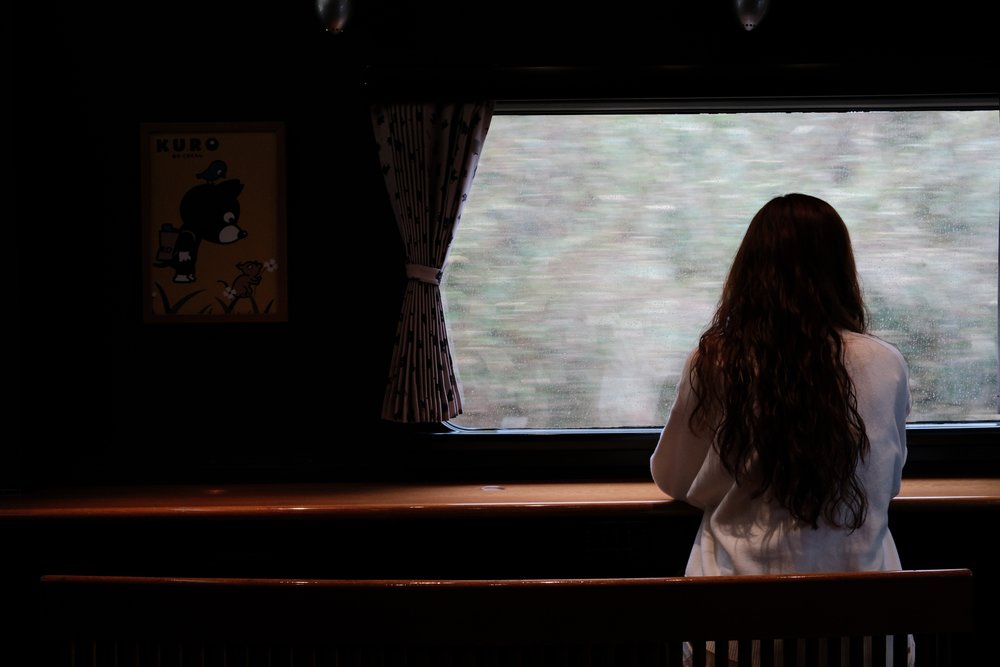 SG - guide to japan scenic trains