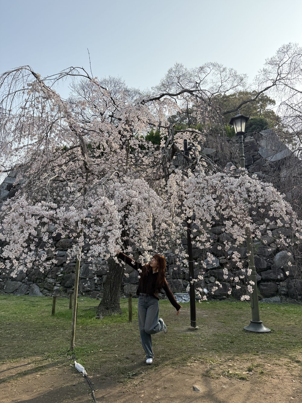 sg - maizuru park