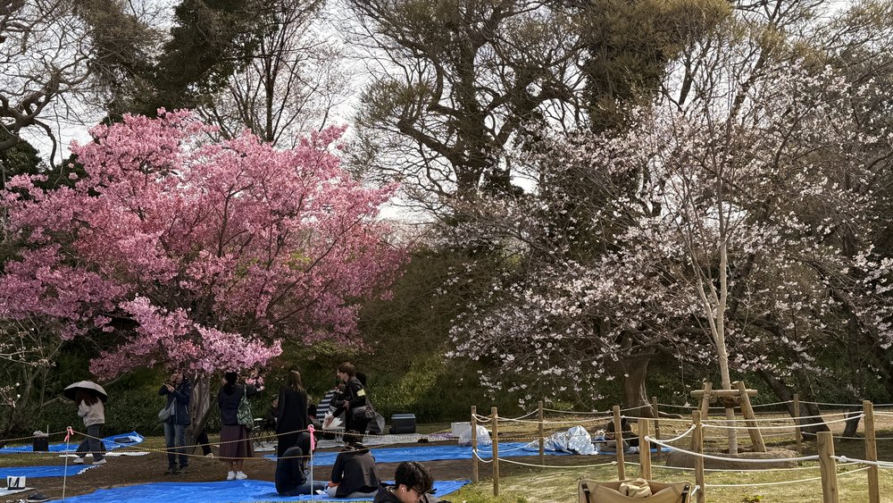 sg - ohori park