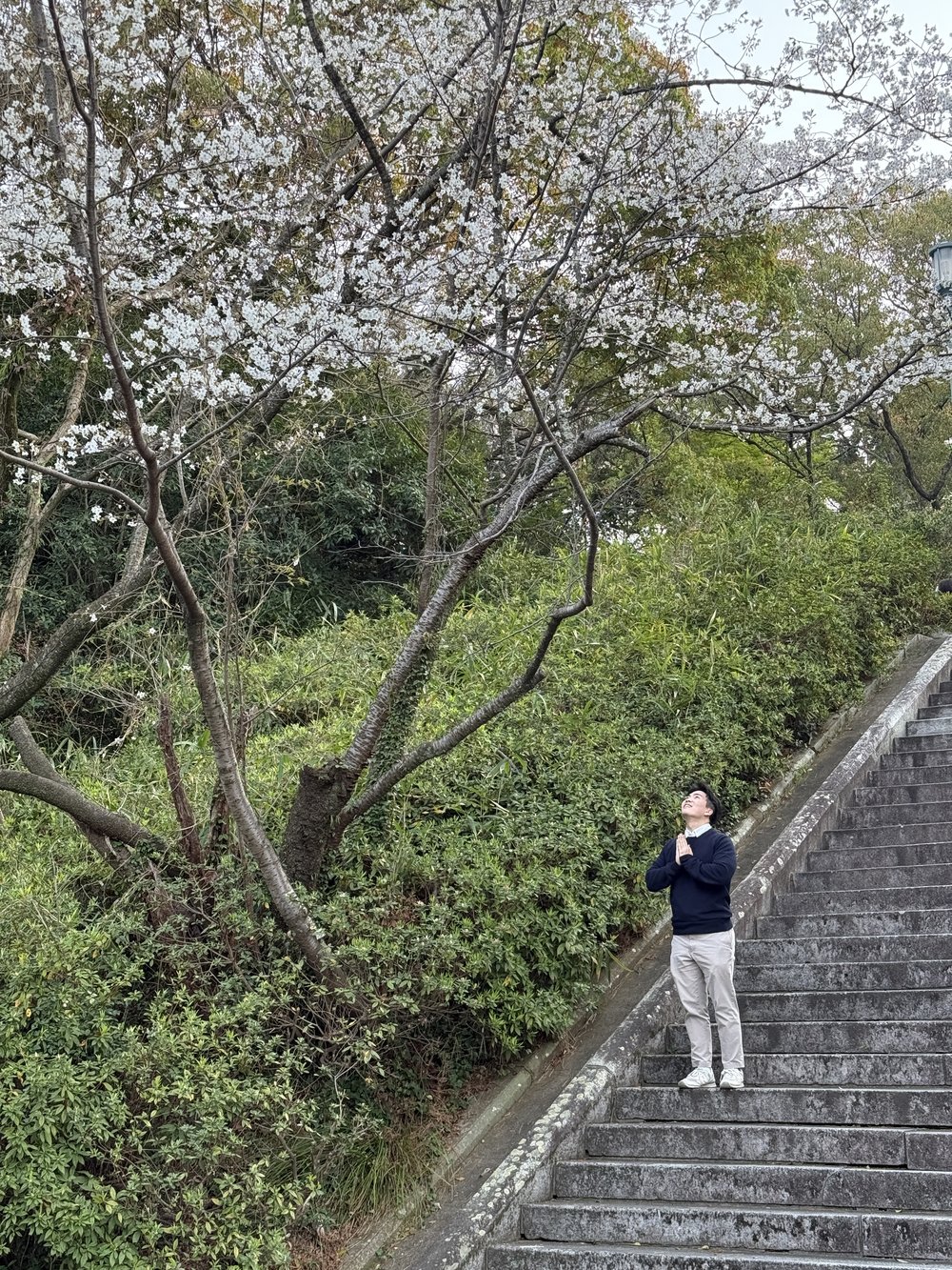 sg - nishi park