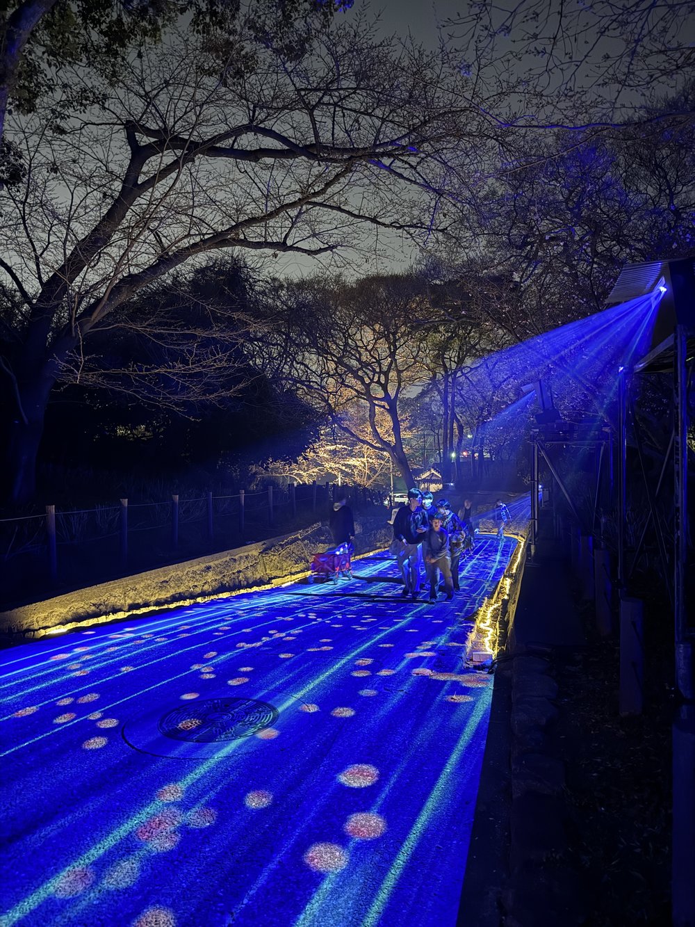 sg - fukuoka castle night illumination