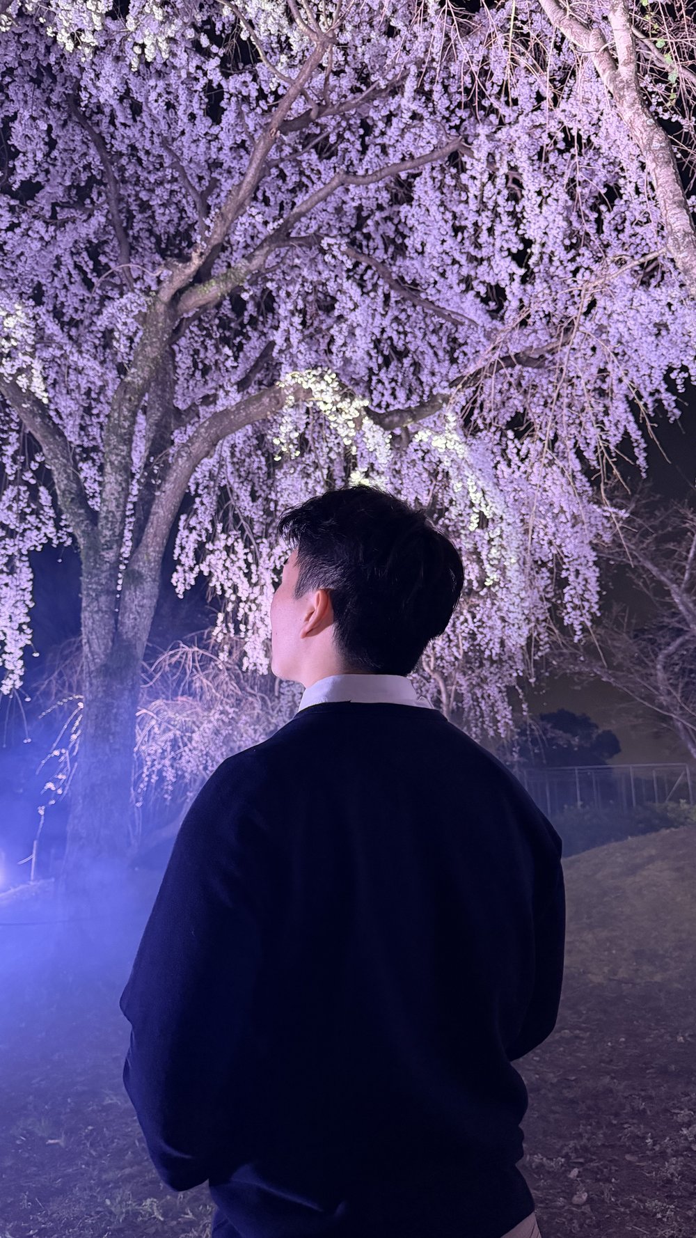 sg - fukuoka castle night illumination