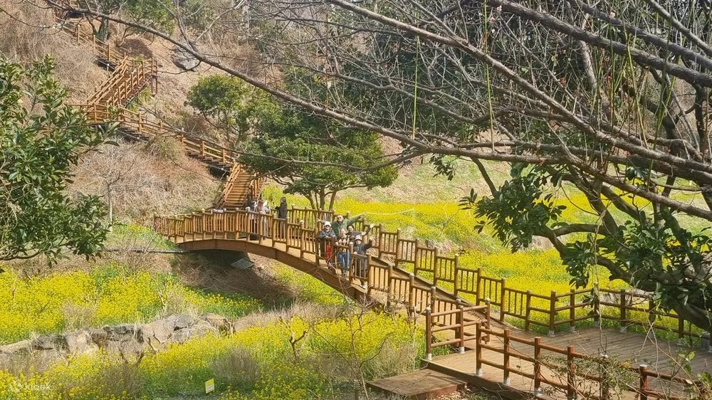 Đảo Jeju, Hàn Quốc