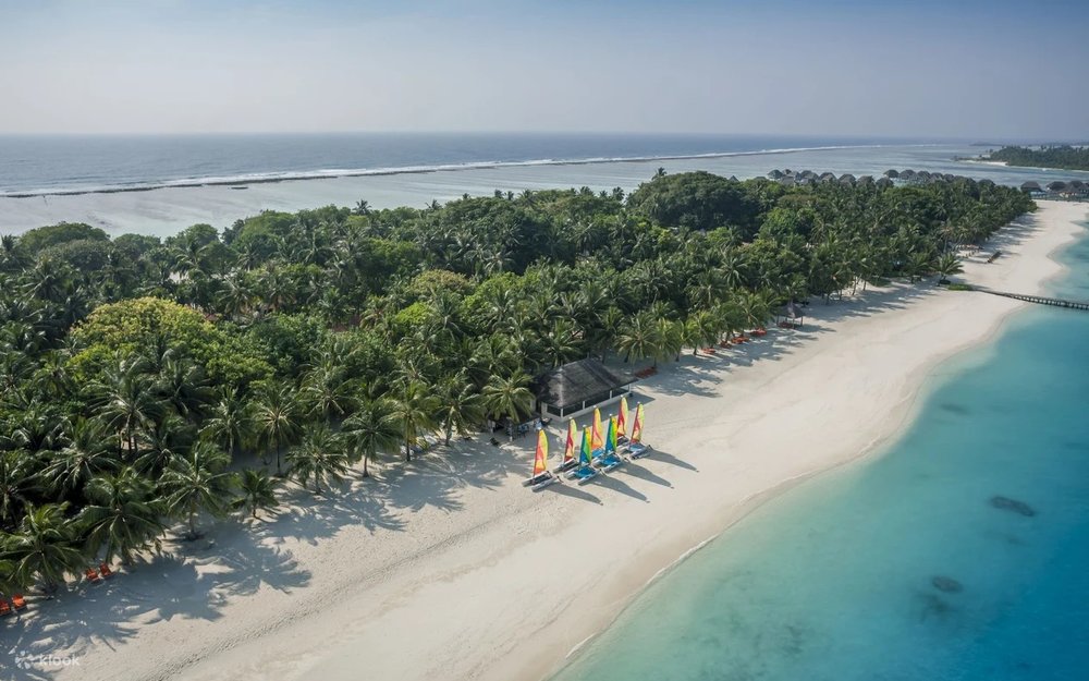 Maldives - Điểm Đến Mơ Ước Của Mọi Tín Đồ Vitamin "Sea" 