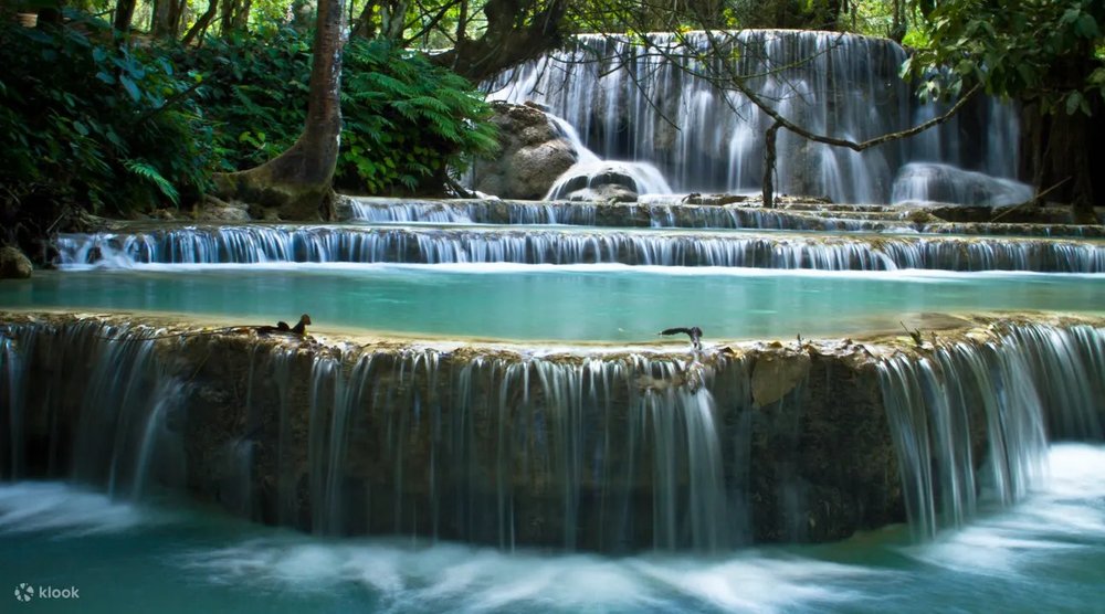  Luang Prabang - Thành Phố "Đáng Mến" Của Nước Bạn Lào