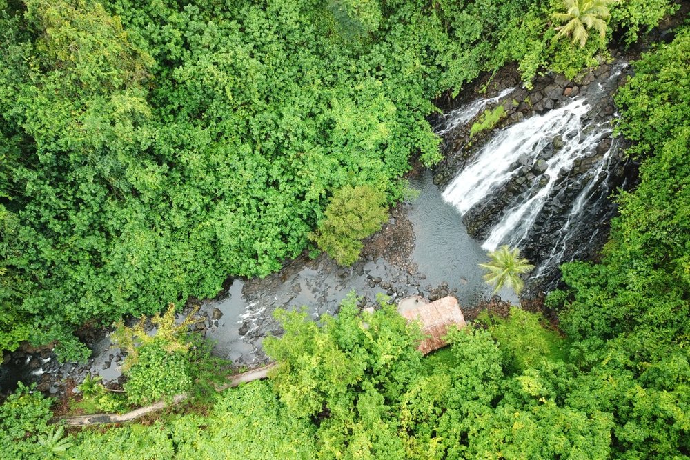 Pohnpei (Micronesia) – Đảo Xa Nhưng Gần Như Chưa Bị Du Lịch Hóa