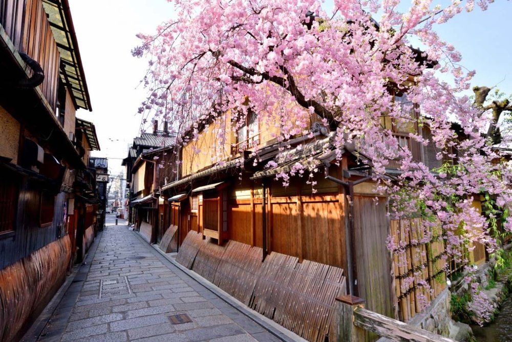 Một Vài Địa Chỉ Lưu Trú Đáng Cân Nhắc Khi Đi Phố Gion Ở Nhật Bản