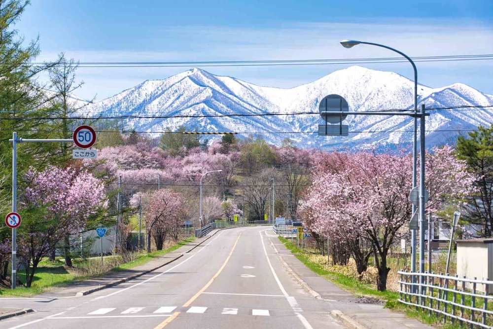 Đi Từ Tokyo Đến Hokkaido Bằng Tàu Điện Nhật Bản JR