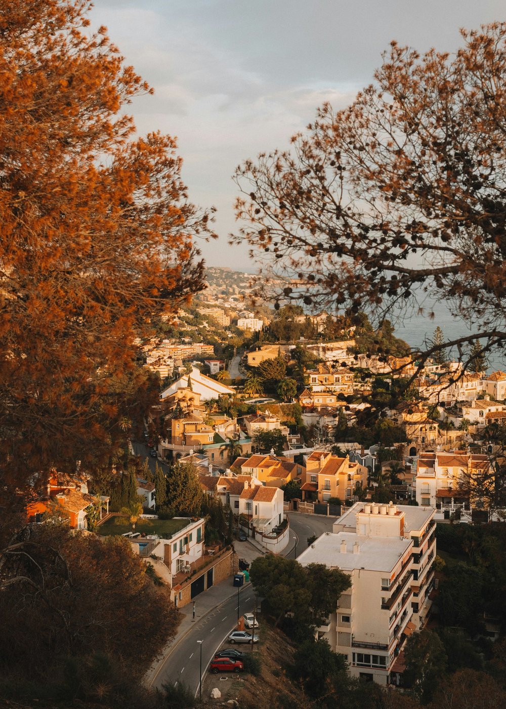 Buildings and orange trees during autumn in Spain