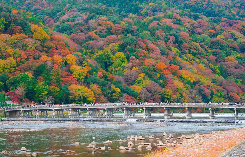 People walking along Togetsukyo Bridge, with the autumn scenery behind them