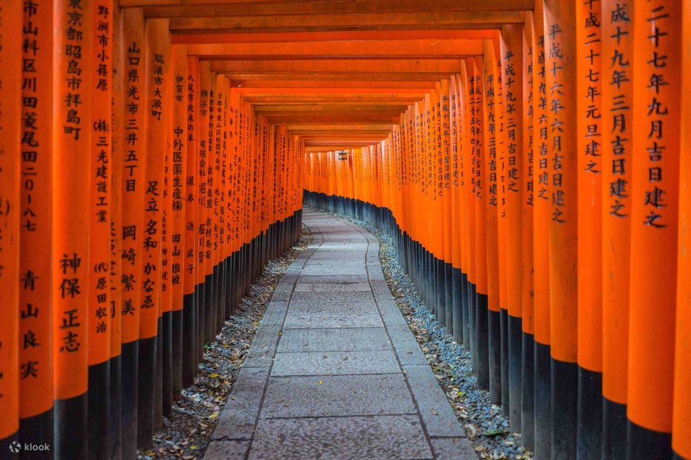 A pathway between torii gates