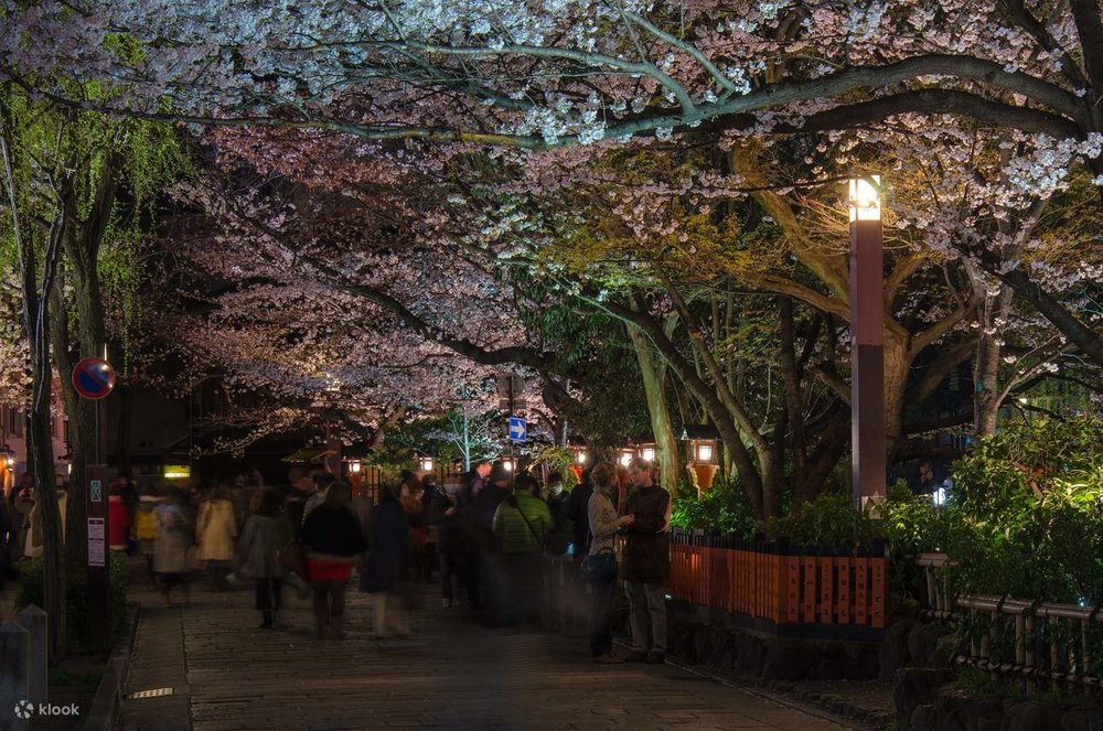 People standing on Gion Tatsumi Bridge whose sides are lined with cherry blossom trees