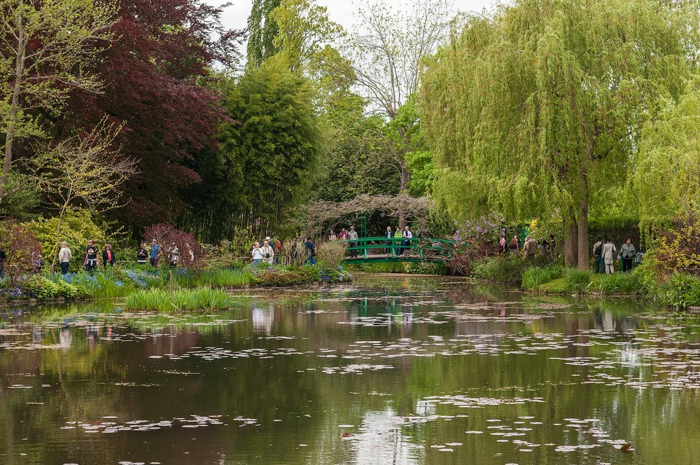 A lily pond, with trees lined to its sides, and a bridge connecting both sides