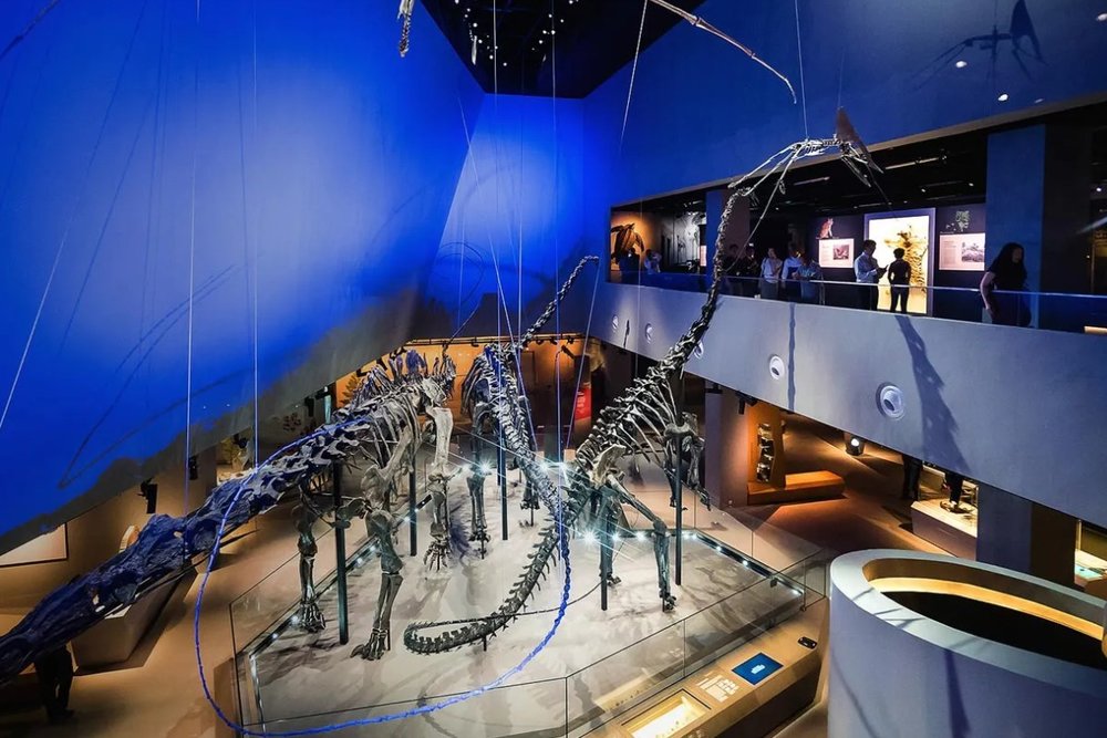 Lee Kong Chian Natural History Museum: Hành Trình Ngược Dòng Thời Gian Khám Phá Di Sản Thiên Nhiên