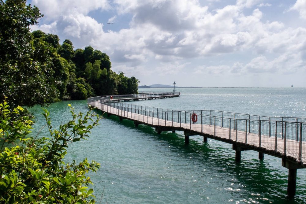 Đảo Pulau Ubin - Thiên Đường Xanh Ở Singapore