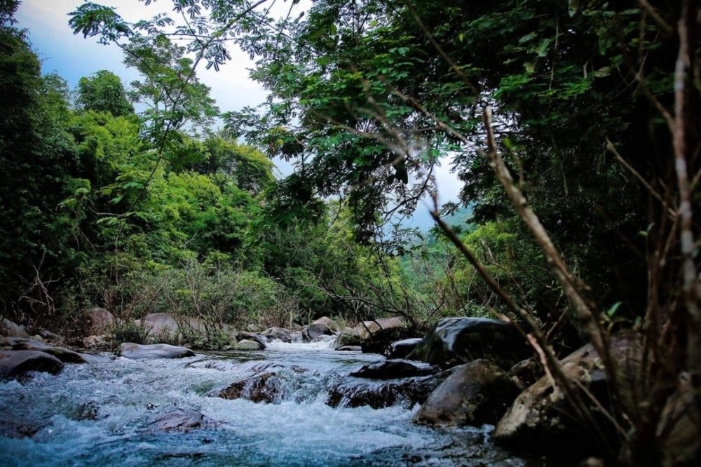 Buổi Sáng: Trekking Nhẹ Vườn Quốc Gia Tam Đảo 