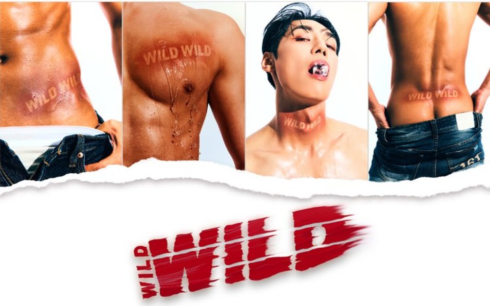 Wild Wild 猛男 Show