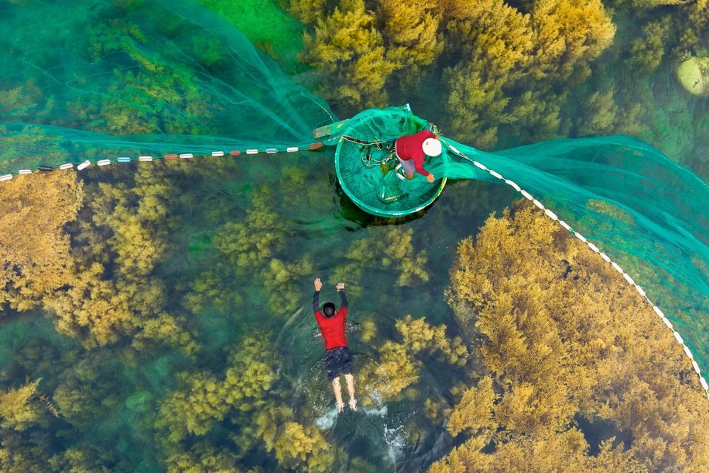 Thử Thách Giữ Thăng Bằng Trên Thuyền Thúng