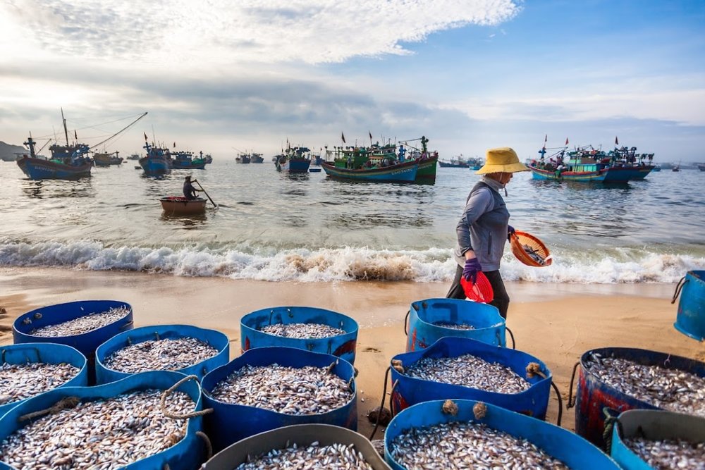 Bảng Giá Tham Khảo Các Hoạt Động Tại Nhơn Lý 2026