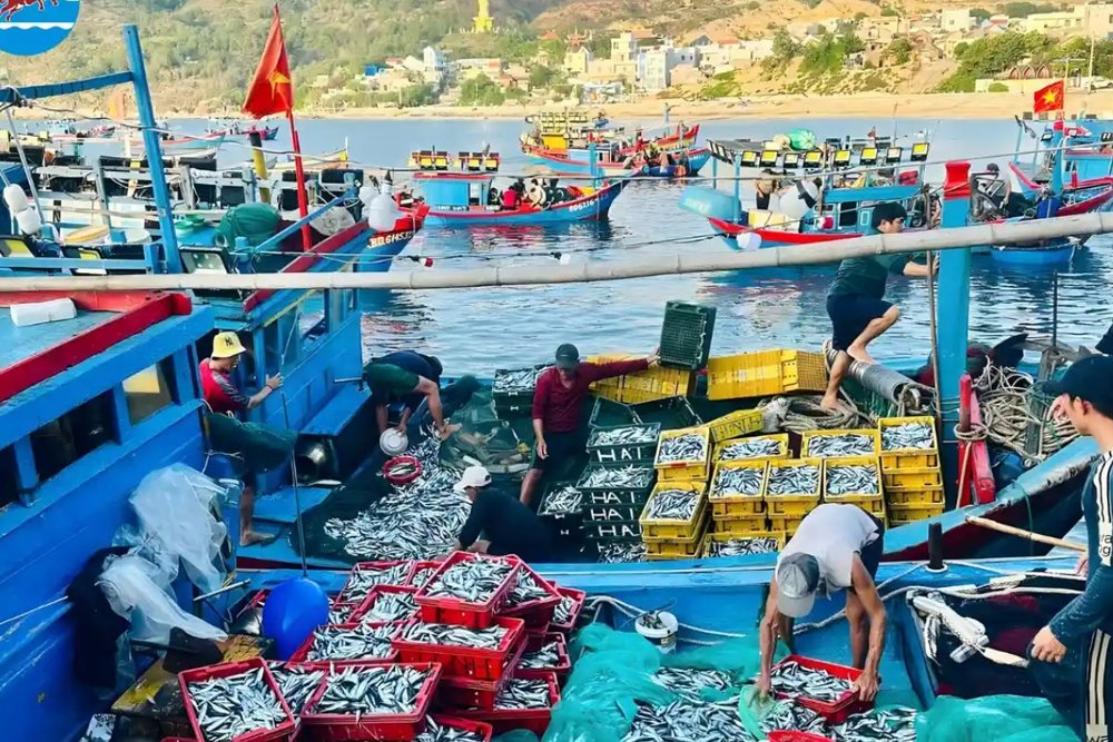 11:30 - Thưởng Thức Hải Sản Bình Dân