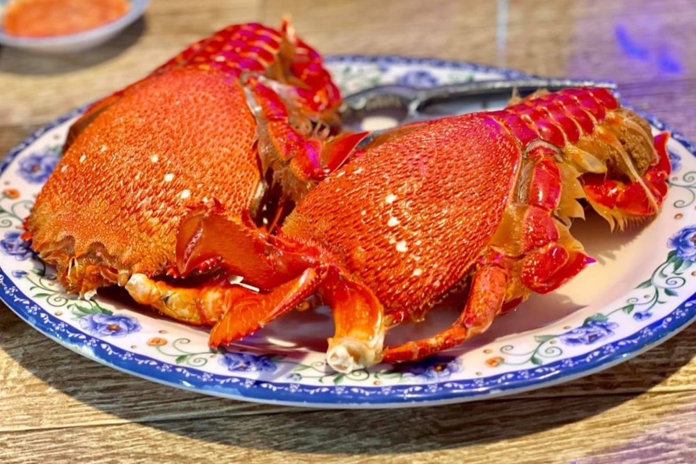 Cua Huỳnh Đế - Vua Của Loài Cua