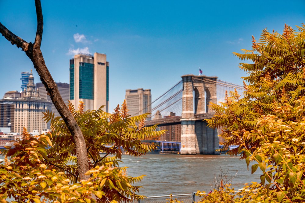 cau-brooklyn