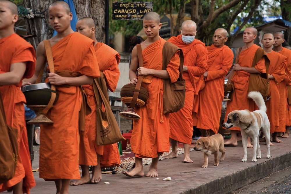 Tại Sao Khách Solo Nên Trải Nghiệm Nghi Lễ Này Ít Nhất Một Lần?