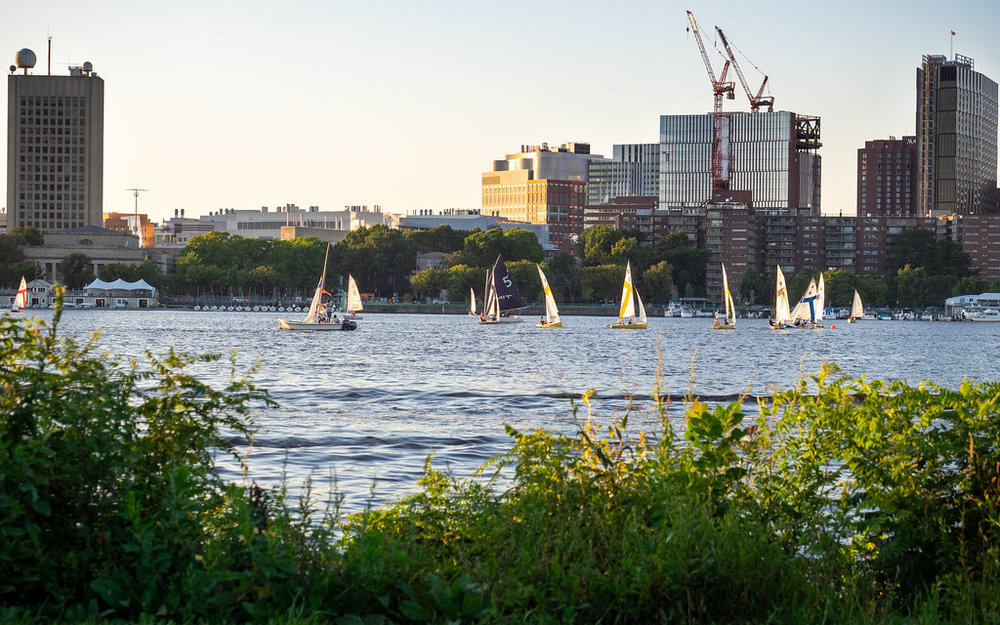 Sailboats at Charles River in Boston / Credits: ajay_suresh on Flickr