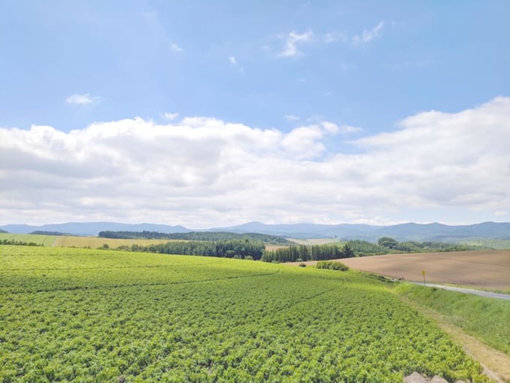 Ngày 1: Đặt Chân Đến Hokkaido - Thưởng Thức Ẩm Thực Và Dạo Quanh Furano-Biei & Hakodate