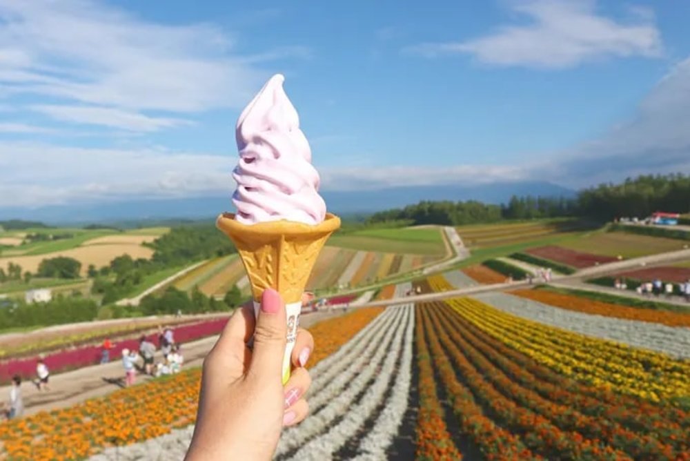 Ngày 2: Di Chuyển Đến Furano - Ghé Chợ Hải Sản Curb - Checkin Cánh Đồng Lavender 