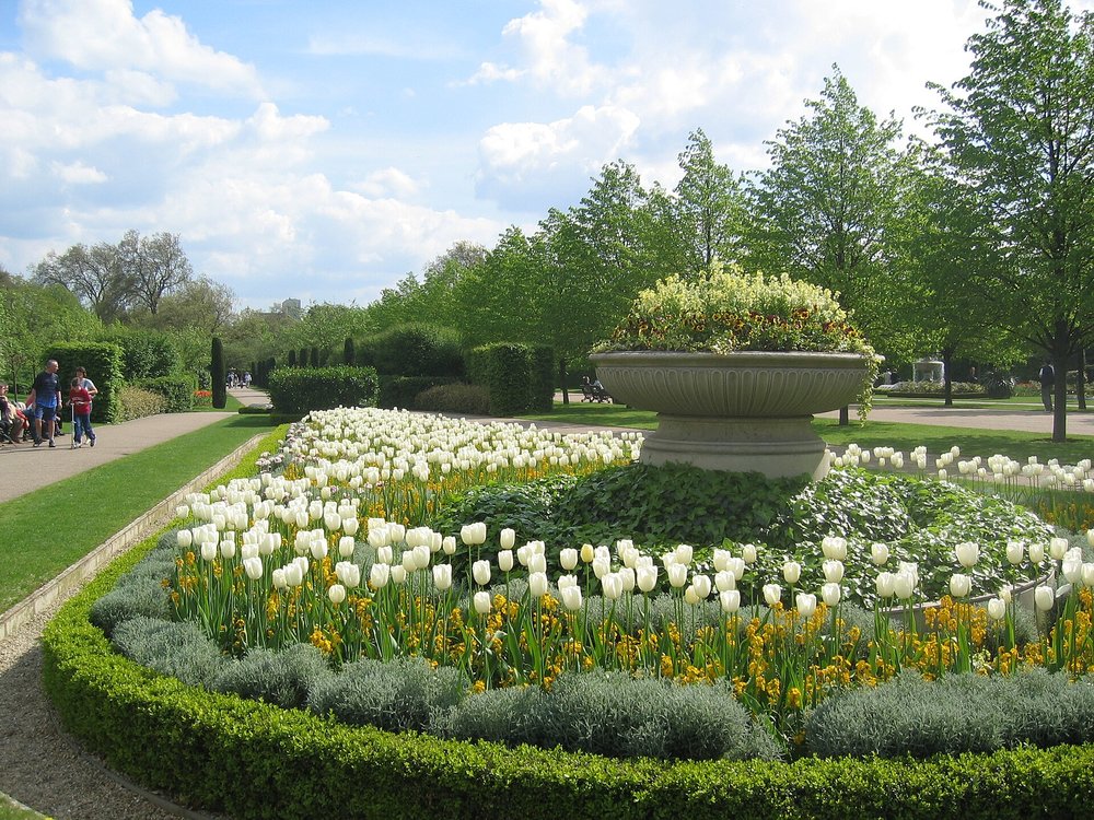 Flowers blooming at Regent’s Park