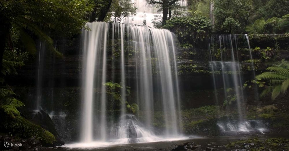 Falls along Mt. Field