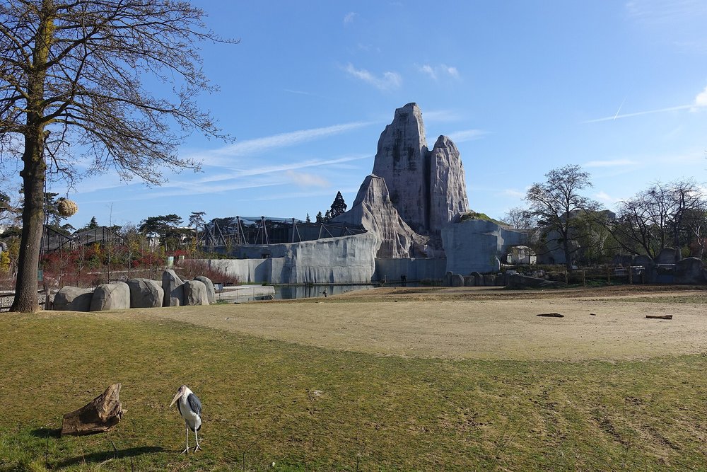 An open savanna area at the Parc Zoologique de Paris, with lush green trees in the background | Photo by Guilhem Vellut on Wikimedia
