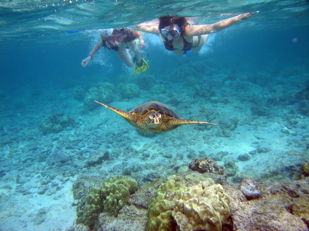Two girls snorkeling above a sea turtle