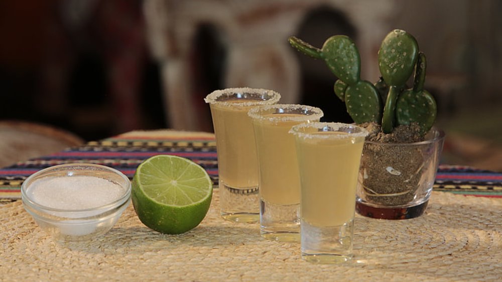 Three tequila shots with lime and salt on a table | Photo Credit: Wikimedia Commons