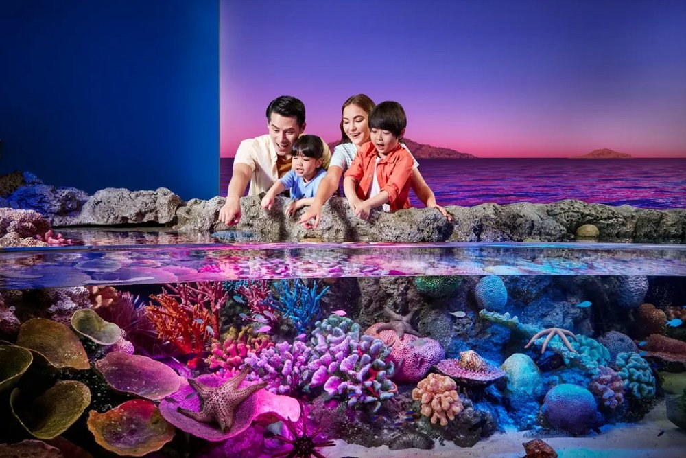 Thuỷ Cung SEA LIFE Bangkok Ocean World: Lạc Bước Vào Vương Quốc Đại Dương Giữa Lòng Thành Phố