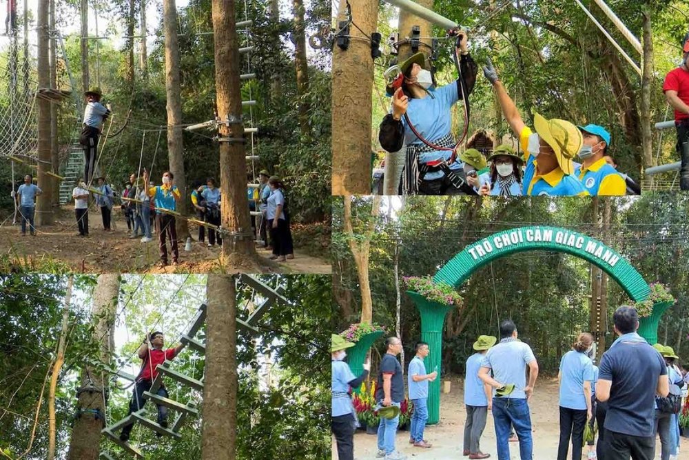 Thử Thách Bản Thân Với Zipline Và Trò Chơi Mạo Hiểm Ngoài Trời