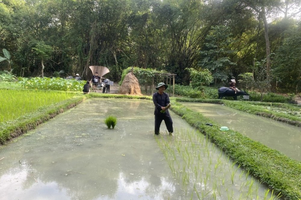 Hóa Thân Là Nông Dân Với Hoạt Động Trồng Lúa Và Đánh Cá