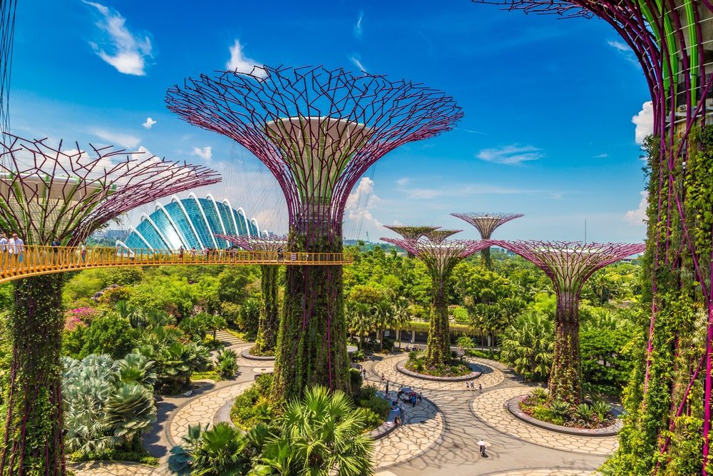 Chiều: Lạc Vào Thế Giới Thực Vật Ở Gardens By The Bay