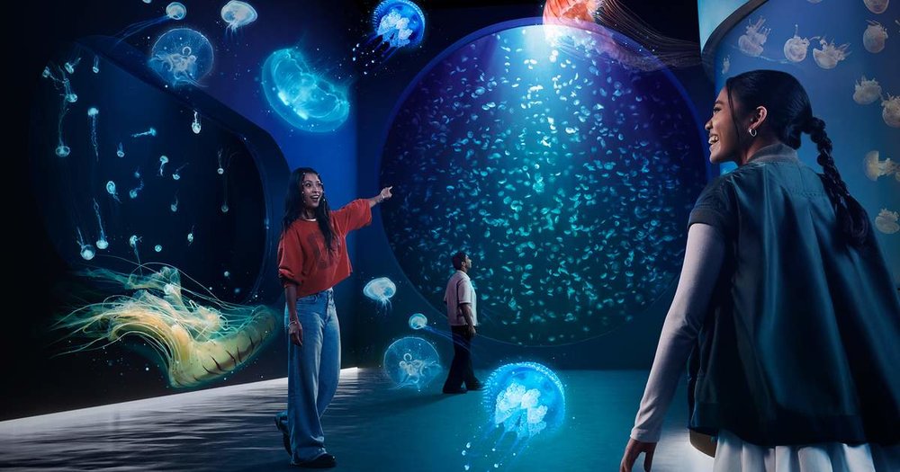 Chiều: Khám Phá Thủy Cung Singapore Oceanarium