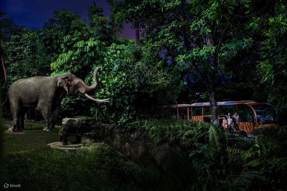 Tối: Trải Nghiệm Vườn Thú Đêm Night Safari Có 1-0-2