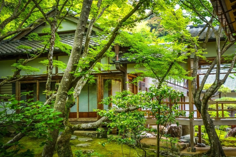 15:00 - 16:00: Ghé Chùa Jōjakkō-Ji Giữa Rừng Xanh